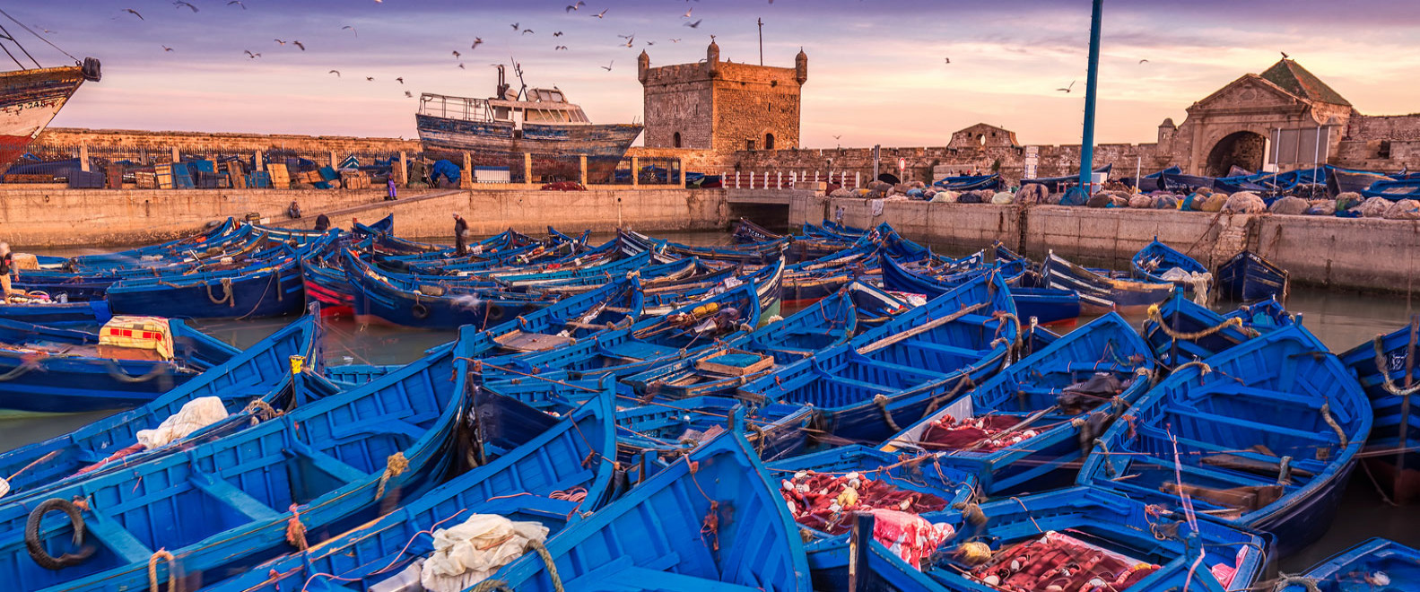 Port d’Essaouira au coucher du soleil