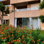 Appartement – Rez-de-Chaussée – photo 4
