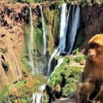 🌊 Excursion aux Cascades d’Ouzoud – 40 £ par personne – photo 4
