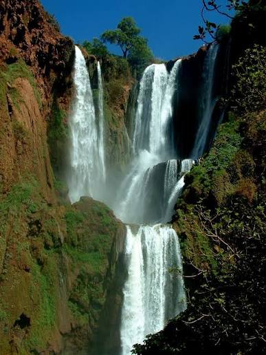 🌊 Excursion aux Cascades d’Ouzoud – 40 £ par personne